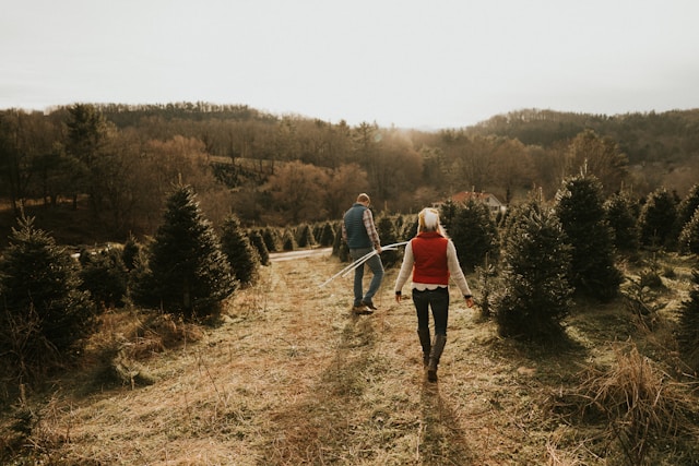 電話占いヴェルニ 梨乃先生