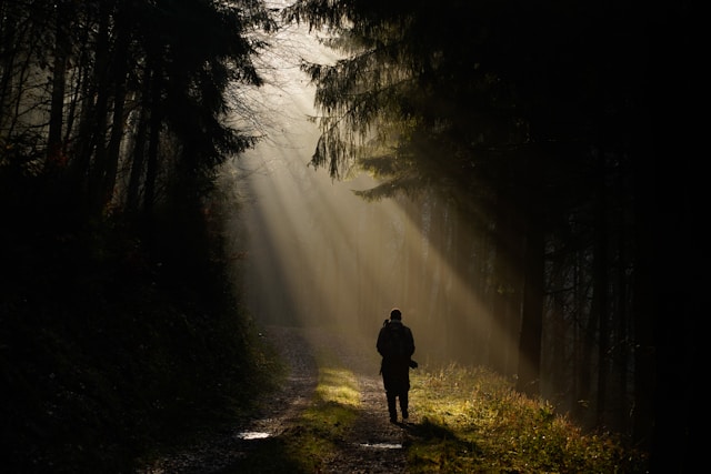 電話占いウィル 福良晴笑先生